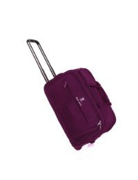 單向輪 - 旅行箱 / 旅行箱包及配件 - 服飾箱包 - 亞馬遜